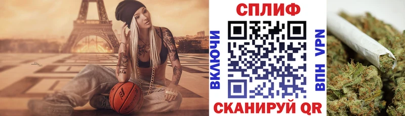 Где купить наркоту Шилка Гашиш COCAIN Меф Псилоцибиновые грибы Каннабис Амфетамин