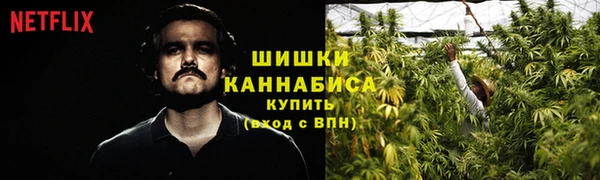 spice Баксан