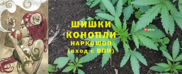 spice Баксан