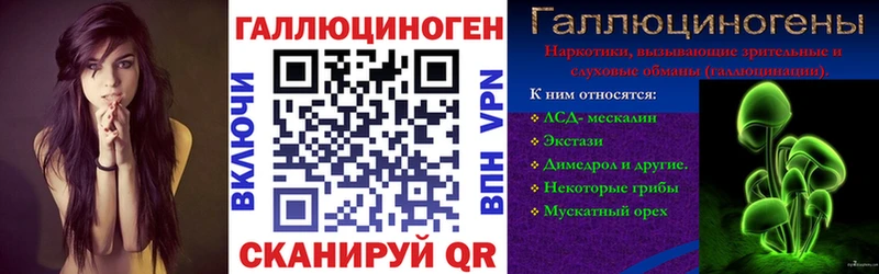 как найти закладки  Шилка  Галлюциногенные грибы Magic Shrooms 